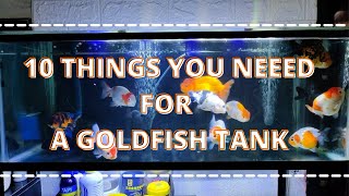 WHAT YOU NEED TO SETUP A GOLDFISH TANK RANCHU TANK [upl. by Adnerad564]