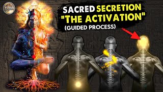 Sacred Secretion Activation  “Activate the Seed” Guided Meditation  Pineal Gland  Kundalini [upl. by Rock248]