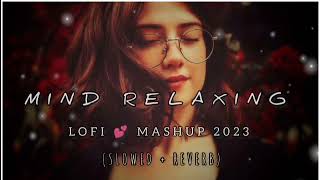 Mind Relaxing  Lofi Mashup 2024  Slowed Reverb  Magical Music 01 [upl. by Chandos]