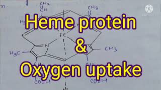 heme protein and oxygen uptake [upl. by Ahiel]