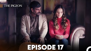 The Pigeon Episode 17 FULL HD [upl. by Goth]