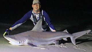 Shark fishing from beach in Panama City Florida  Surf fishing for sharks [upl. by Nesnah]