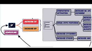 PATHOPHYSIOLOGY OF HEART FAILURE  COMPENSATORY MECHANISMS  RAAS  SNS  CYTOKINES [upl. by Ayimat]