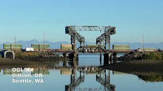 PNW Trip Quick Clip Trains at Bridge 14 in Chambers Bay WA [upl. by Anirac]