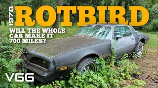 Will it RUN AND DRIVE 700 Miles Home RUSTIEST Forgotten Firebird EVER [upl. by Zulaledairam637]