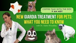 New Treatment for Giardia for Dogs amp Cats with Holistic Vet  Dr Katie Woodley [upl. by Fu611]