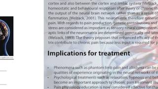 What is the Neuromatrix Theory and its implication for chronic treatment [upl. by Purvis]