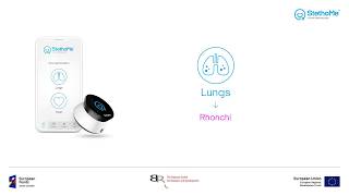 Lungs auscultation  rhonchi 3 [upl. by Sower]