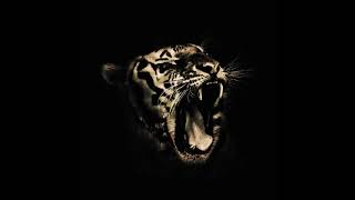 El Tigr3  Nocturnal [upl. by Llerraf]