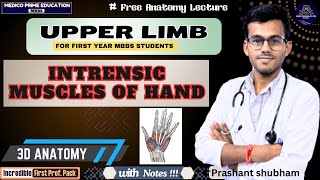 Hand Anatomy  Intrinsic muscles of Hand  Trick to learn the muscles of Hand  3D anatomy mbbs [upl. by Eelidnarb]