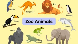 Learning Zoo Animals For Kids  Educational Videos For Children [upl. by Kala]