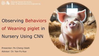 學生英文報告 – 2024 ASABE – Observing Behaviors of Weaning Piglets in Nursery House Using CNNs [upl. by Lacefield531]