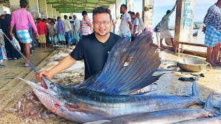 Cox’s Bazar and Fishmarket। কক্সবাজার । Coxsbazar travel guide। Dhaka to Coxs Bazar। । Saintmartin [upl. by Quintie482]