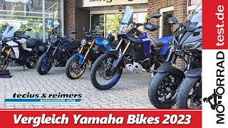 Vergleich Yamaha Motorräder 2023  Tour durch SchleswigHolstein mit Testbikes von Tecius amp Reimers [upl. by Ettelliw]