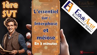 Lessentiel sur linterphase et la méiose en 3 minutesPremière spécialité SVT meiose méiose svt [upl. by Lednem]