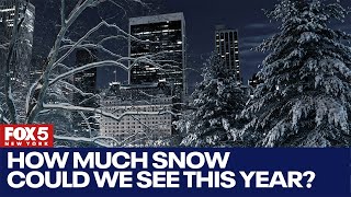 NYC winter 2024 How much snow could we see this year [upl. by Aeht]