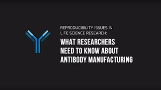 Antibody Manufacturing Demystified The Path To HighQuality Antibodies [upl. by Atyekram509]