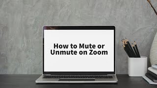 How to Mute or Unmute on Zoom [upl. by Jaan]