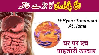 What is H pylori infection  Maida Ka Ulcer Kya Hota Hai  H Pylori Treatment In Urdu Stomach Ulcer [upl. by Auqinal]