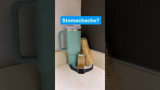 Easy home remedies for stomachaches [upl. by Adniled]