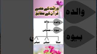 وراثت کے حصے قرآن کے مطابق  شجرہ نسب inheritance warasat islamic shorts [upl. by Dolph]