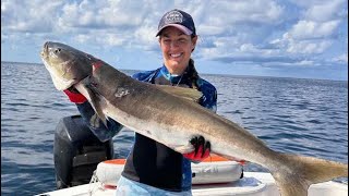 Spearfishing Freshwater Springs offshore in the Gulf of Mexico [upl. by Geirk]