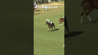 Jeta Castagnola and Hilario Ulloa jockey for the ball 2023 Hurlingham Polo Open liveaapolocom [upl. by Willie304]