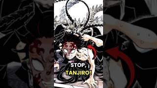 Tanjiro Uses Muzans Blood Demon Technique Demon Slayer Explained [upl. by Lindbom258]