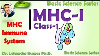 Major Histocompatibility Complex  Virus antigen presentation  MHCClass1  Basic Science Series [upl. by Akiem]