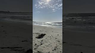 Asilomar state beach shorts [upl. by Rinee]