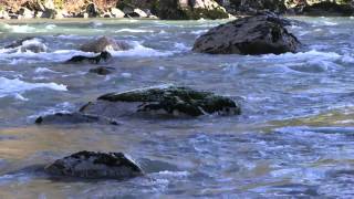 Flowing River 1080p HD Without Music [upl. by Emoreg160]