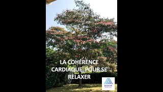 Cohérence cardiaque cardiac coherence  Le papillon dans le jardin [upl. by Eihpos]