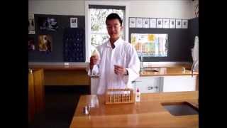 Precipitation Reaction Sulfuric Acid and Barium Nitrate [upl. by Suehtomit]