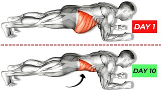 Tired of Crunches Use This Plank More Effectively for 6pack Abs amp Hanging Belly Fat [upl. by Ahsenyl]