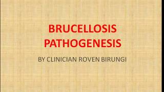 BRUCELLOSIS PATHOGENESIS [upl. by Anert]