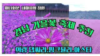 경남 꼭 가봐야할 가을축제 미니화분아스타핑크뮬리 댑싸리가을여행의령축제 [upl. by Anel]