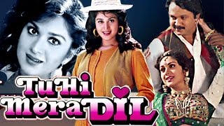 Tu Hi Mera Dil Songs Collection  Hindi Songs [upl. by Apthorp163]