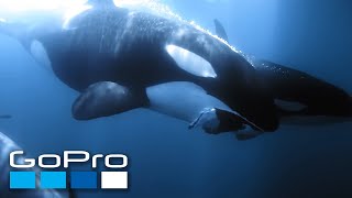 GoPro Cause Ocean Souls  A Cetaceans Film [upl. by Gladwin887]