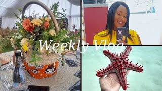 WEEKLY VLOG Lets catch up Traditional Wedding Work amp Jubilee Cycles Day [upl. by Nyl975]