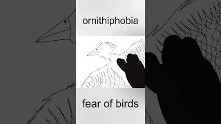 ornithophobia  drawing fears 21 [upl. by Legir617]