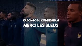 KABONGO DJ X VEGEDREAM  Merci les bleus Tradução PTBR [upl. by Emelen118]