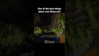 Cave elytra minecraft minecraftshorts minecraftmemes shorts funny memes gaming meme fyp [upl. by Careaga]