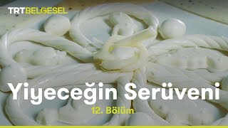 Peynir  Yiyeceğin Serüveni  TRT Belgesel [upl. by Branden188]