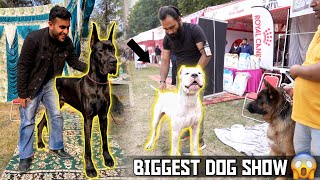 Biggest Dog Show in Haryana  Karnal Dog Show 😱 [upl. by Naivaf311]