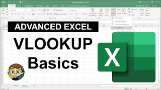 Advanced Excel  VLOOKUP Basics [upl. by Haliek]