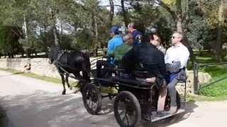 Tour delle Masserie in Carrozza a Crispiano Taranto Puglia [upl. by Guendolen]