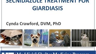 Vet to Vet Secnidazole for Giardiasis  conference recording [upl. by Hiltan446]