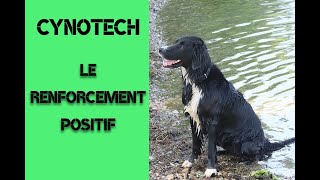 CYNOTECH  Le renforcement positif [upl. by Teagan741]