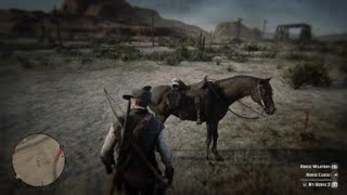 Red Dead Redemption 2 Rio grande wild turkey location [upl. by Mindi]