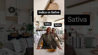 What is the difference between indica and sativa cannabiseducation [upl. by Aenad]